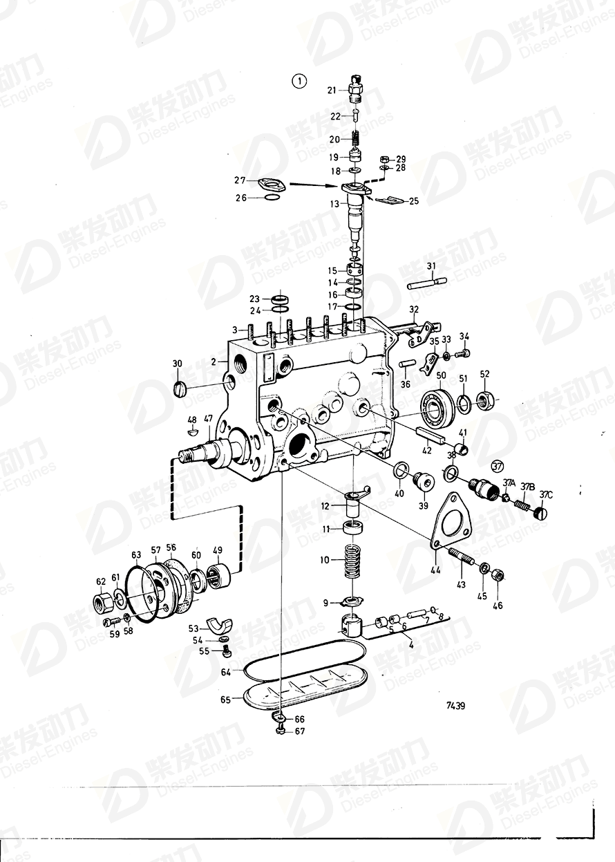 VOLVO Cover plate 244503 Drawing